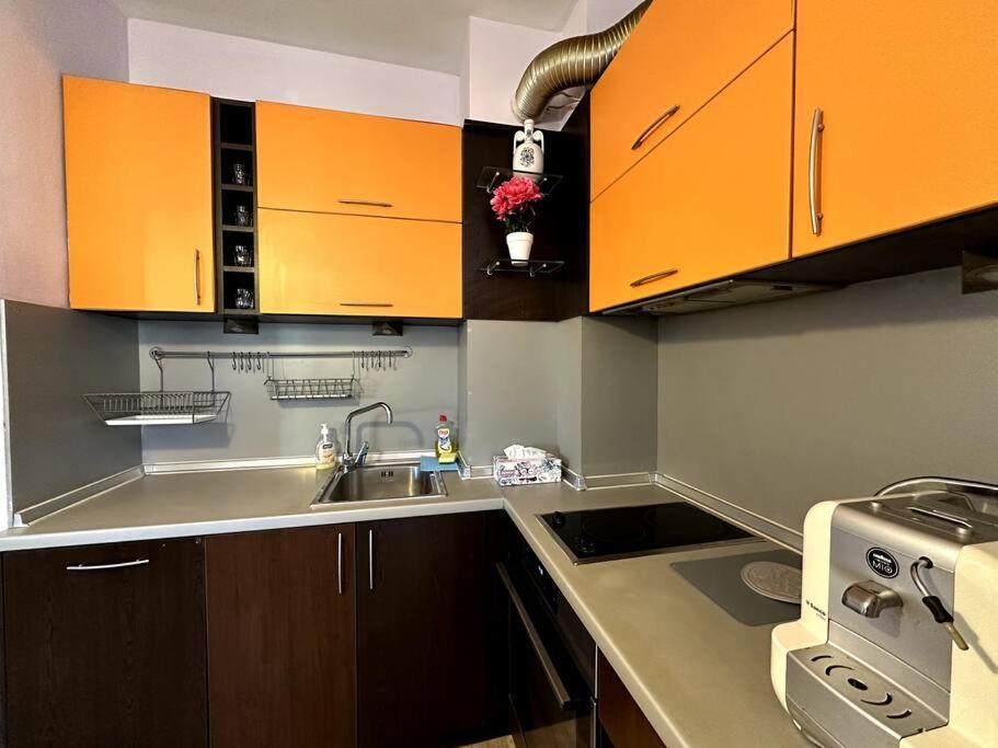 Cozy Flat In Central صوفيا المظهر الخارجي الصورة